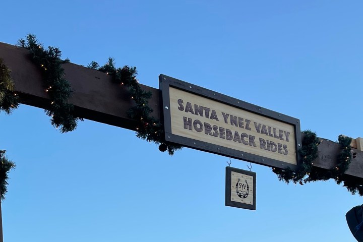 Sign for Santa Ynez Valley Horseback Rides with greenery decoration against blue sky.