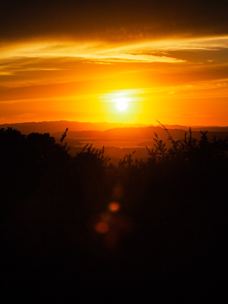 Sunset over mountains with dark silhouette of trees in foreground.